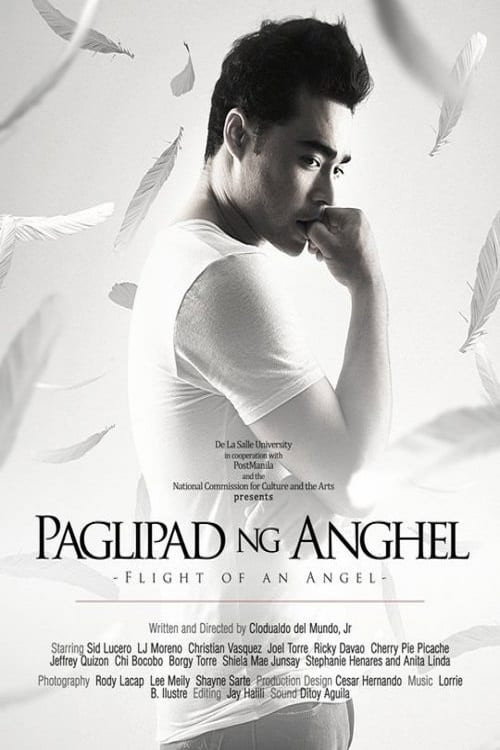 Movie poster for Flight of an Angel (2011)