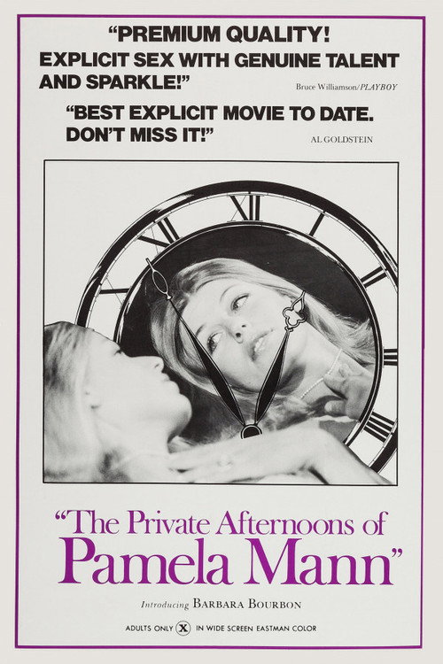 Movie poster for The Private Afternoons of Pamela Mann (1974)