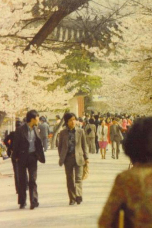 Movie poster for Azaleas Of My Hometown (1973)