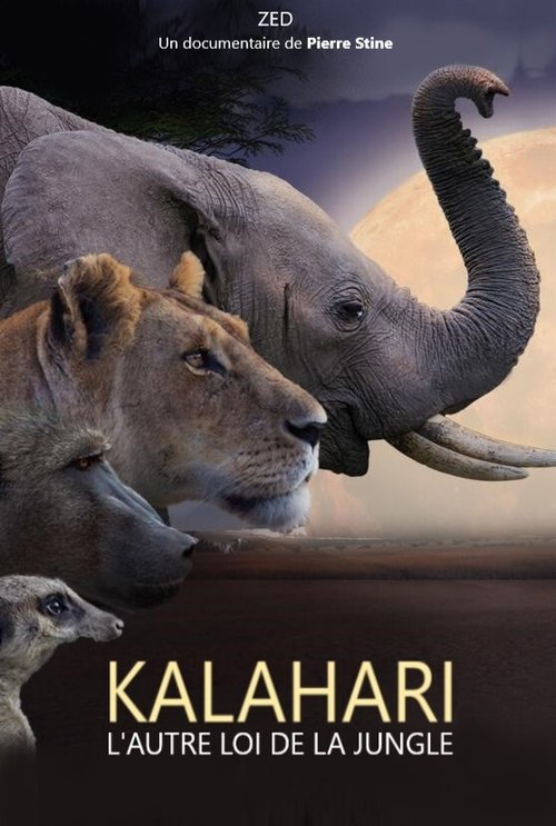 Movie poster for Kalahari, l'autre loi de la jungle (2021)