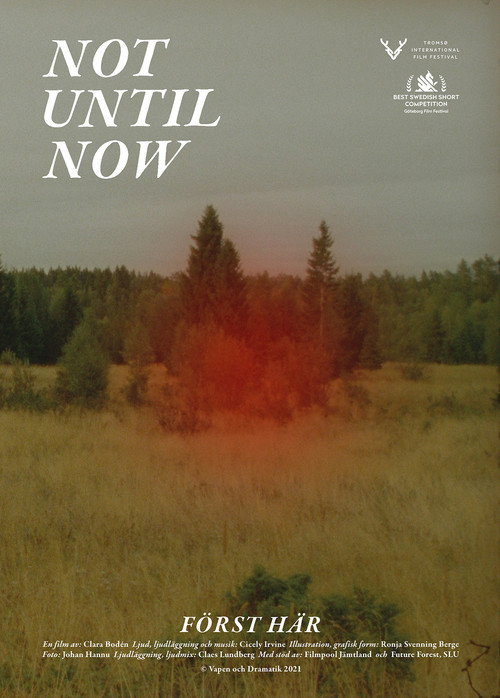 Movie poster for Not Until Now (2021)