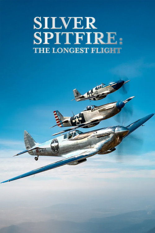 Movie poster for Silver Spitfire: The Longest Flight (2022)