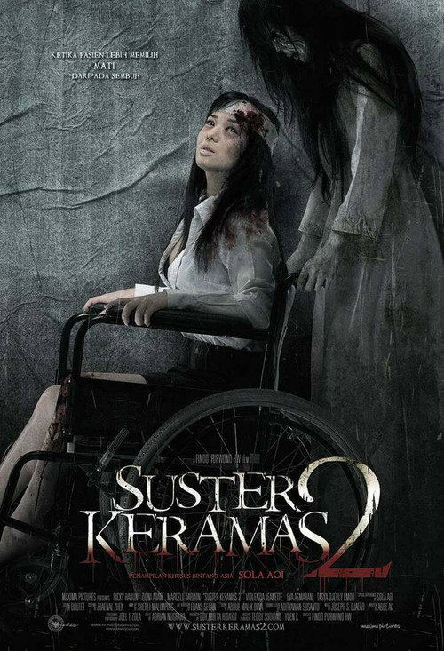 Movie poster for Evil Nurse 2 (2011)