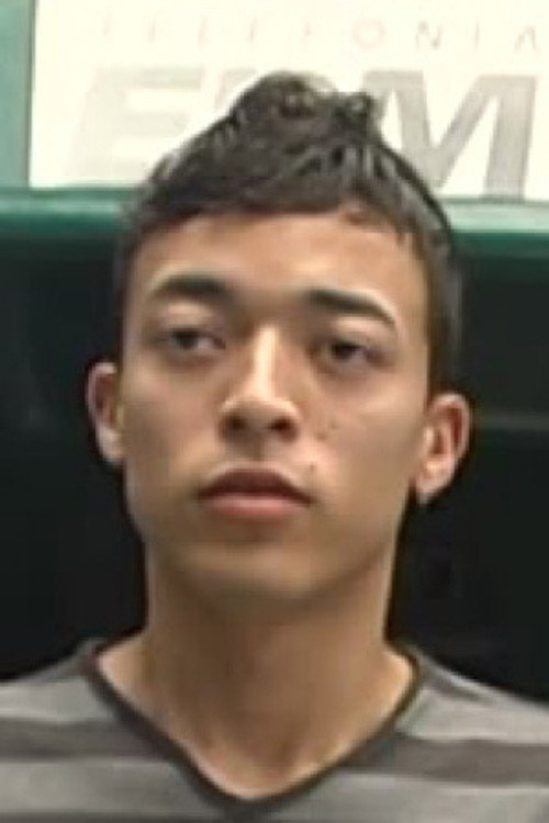 Photo of Raul, Acting