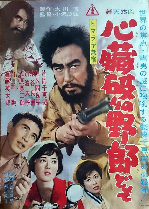 Movie poster for Himalayan Wanderer (1961)