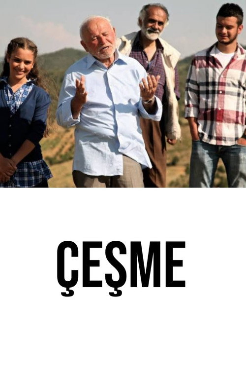 Movie poster for ÇEŞME (2014)
