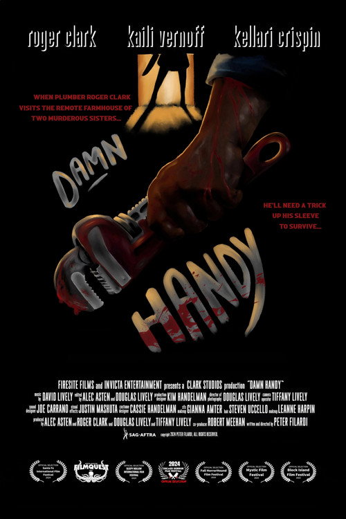 Movie poster for Damn Handy (2025)