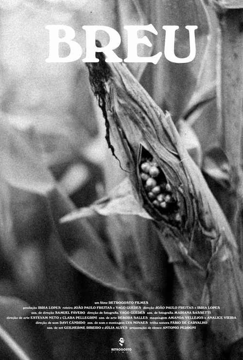 Movie poster for Breu