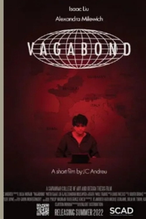 Movie poster for Vagabond (2022)