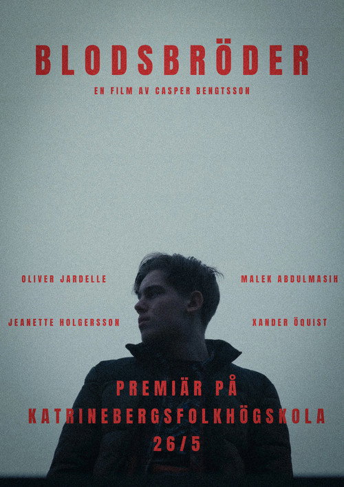 Movie poster for Blodsbröder
