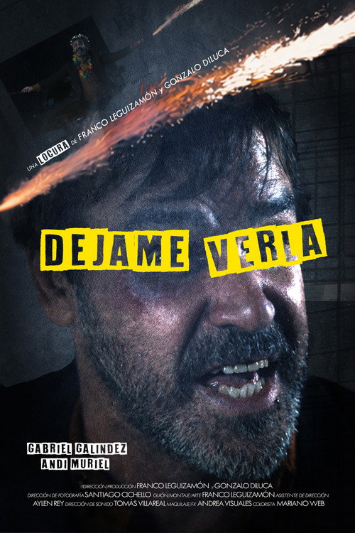 Movie poster for Let me see her