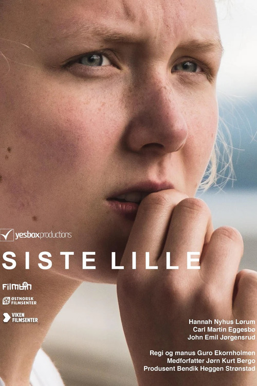 Movie poster for Siste lille (2017)