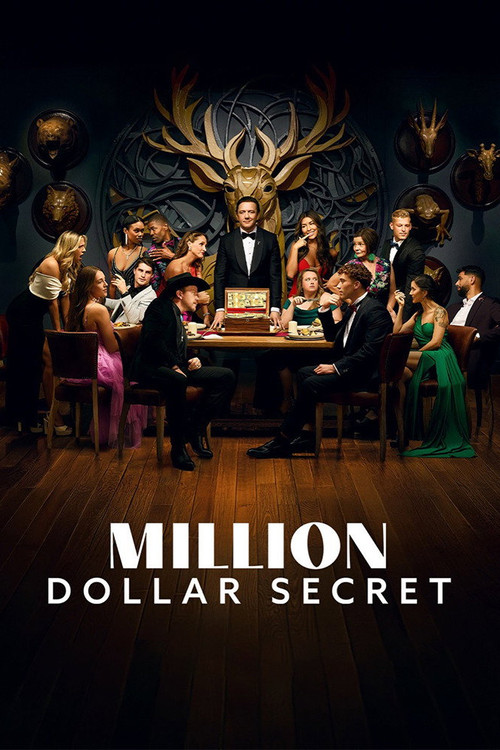 Series poster for Million Dollar Secret (2025)