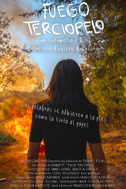 Movie poster for Velvet Fire (2026)