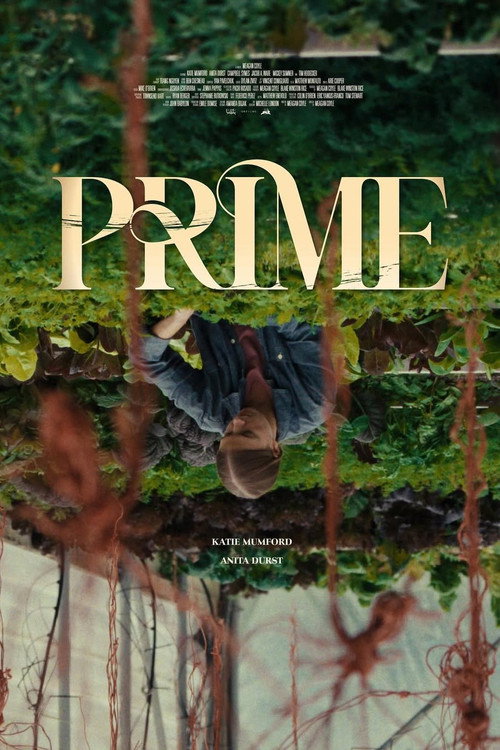 Movie poster for Prime (2025)