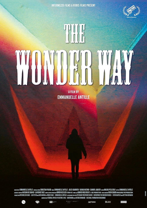 Movie poster for The Wonder Way (2023)