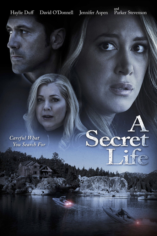 Movie poster for His Secret Family (2015)