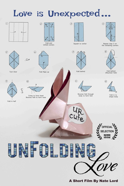 Movie poster for Unfolding Love (2015)