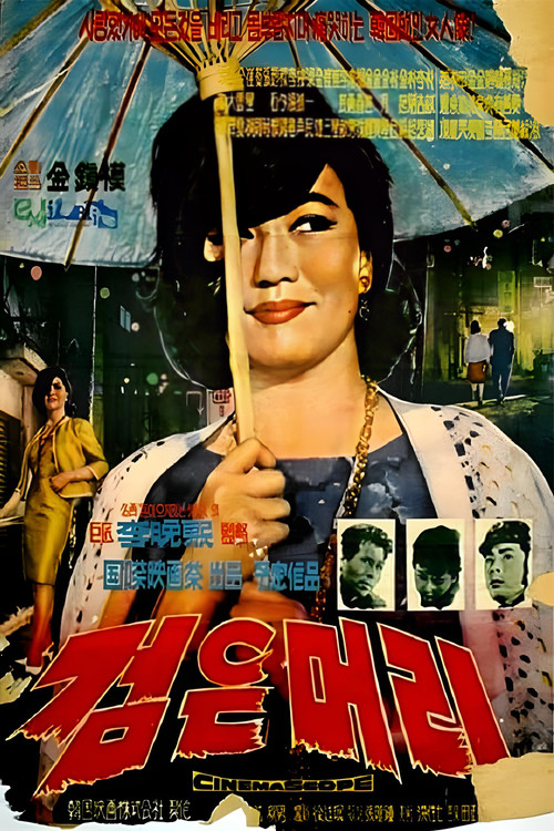 Movie poster for Black Hair (1964)