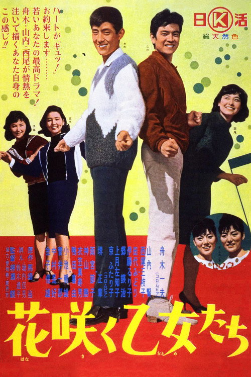 Movie poster for Flowering Maidens (1965)