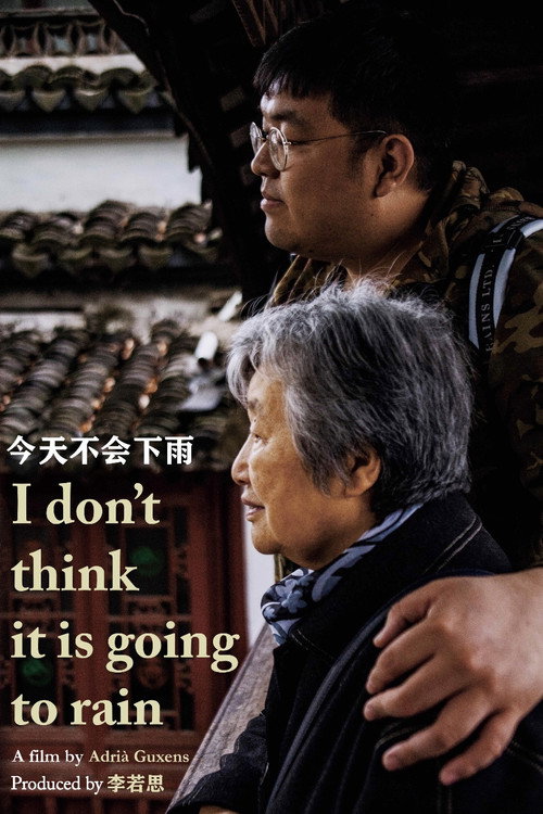 Movie poster for I Don't Think It Is Going to Rain (2019)