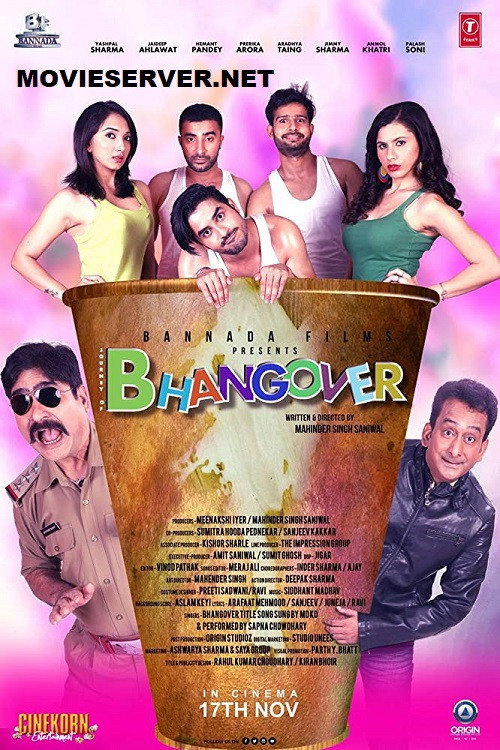 Movie poster for Bhangover (2017)