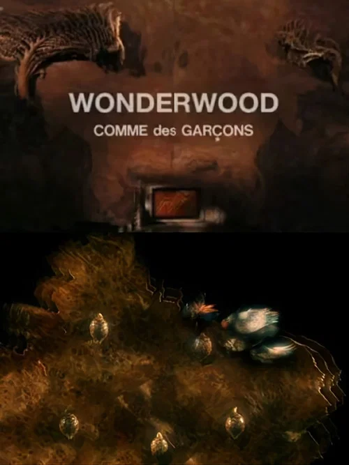 Movie poster for Wonderwood: Comme des garçons (2010)
