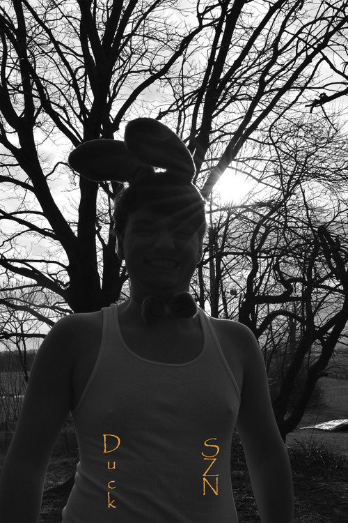 Movie poster for Duck Season