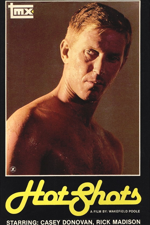 Movie poster for Hot Shots (1982)