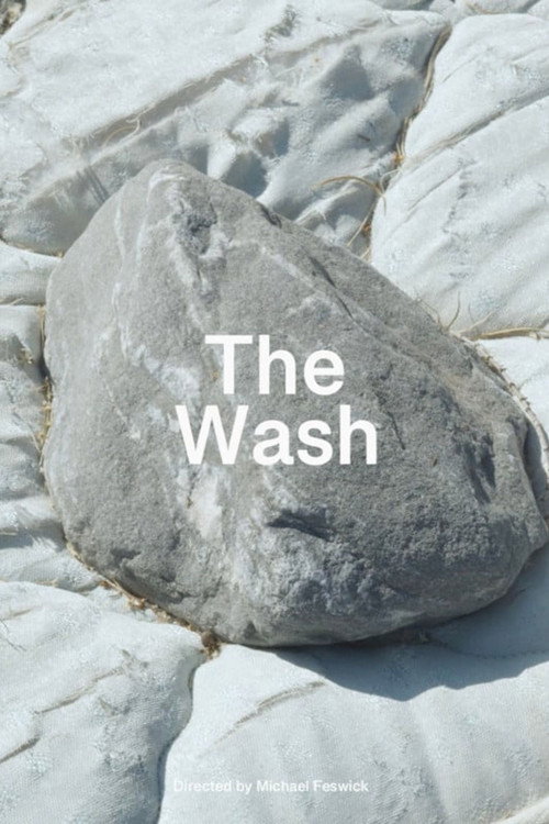 Movie poster for The Wash (2025)