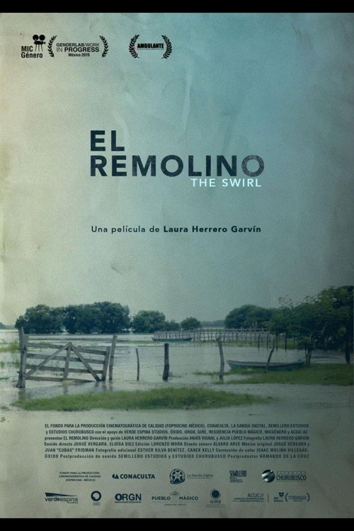 Movie poster for The Swirl (2016)