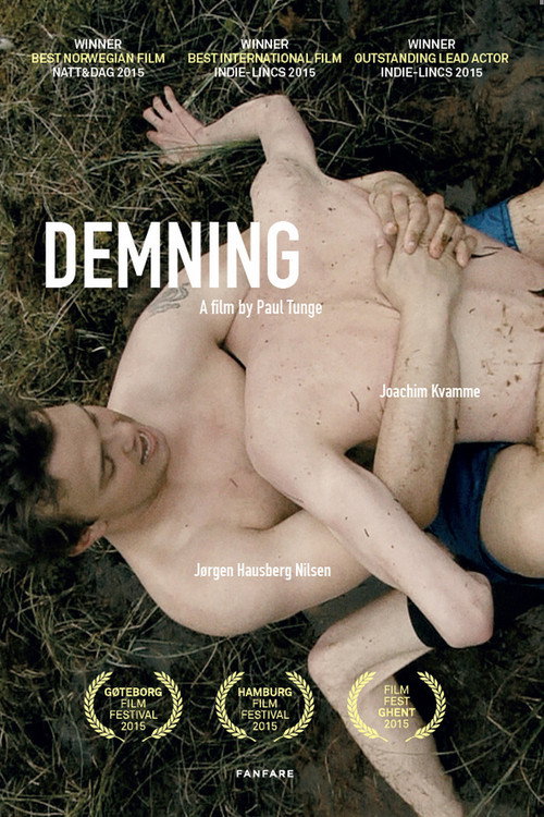 Movie poster for Demning (2015)
