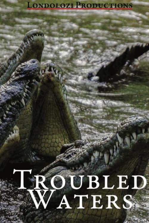 Movie poster for Troubled Waters (1993)