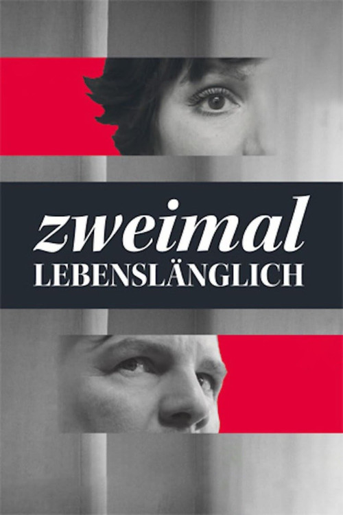 Movie poster for Zweimal lebenslänglich (2015)