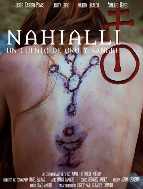 Movie poster for Nahialli - Un cuento de oro y sangre (2024)