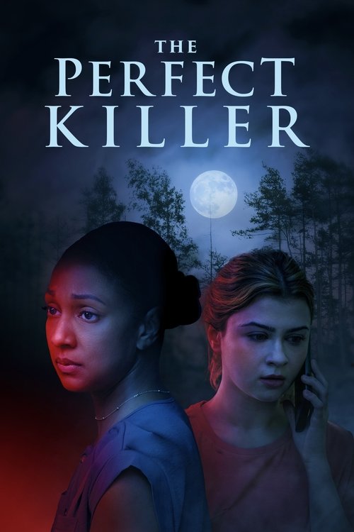 Movie poster for The Perfect Killer (2025)
