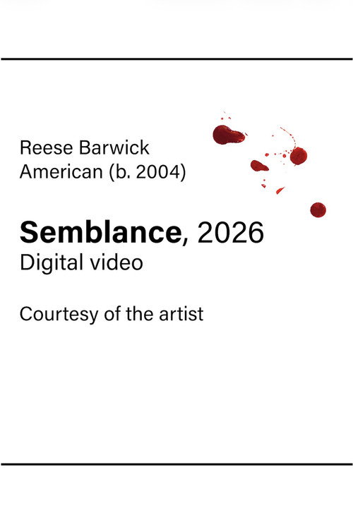 Movie poster for Semblance