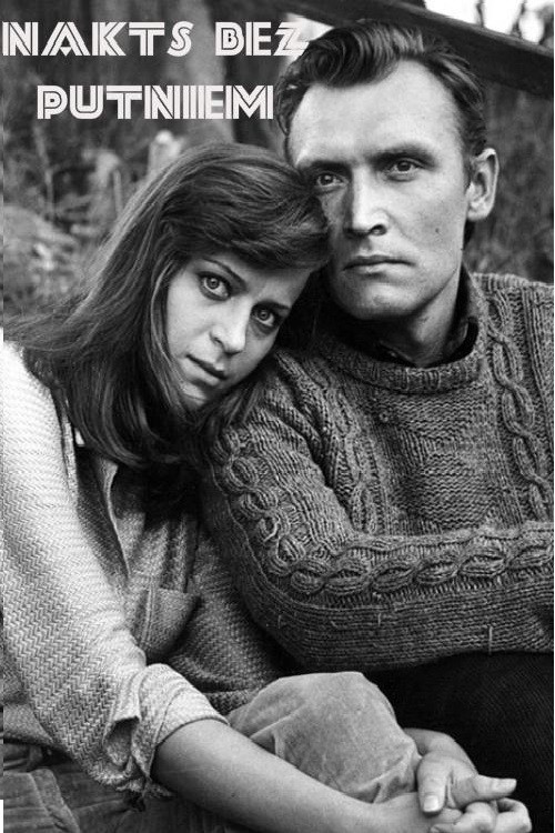 A Birdless Night poster