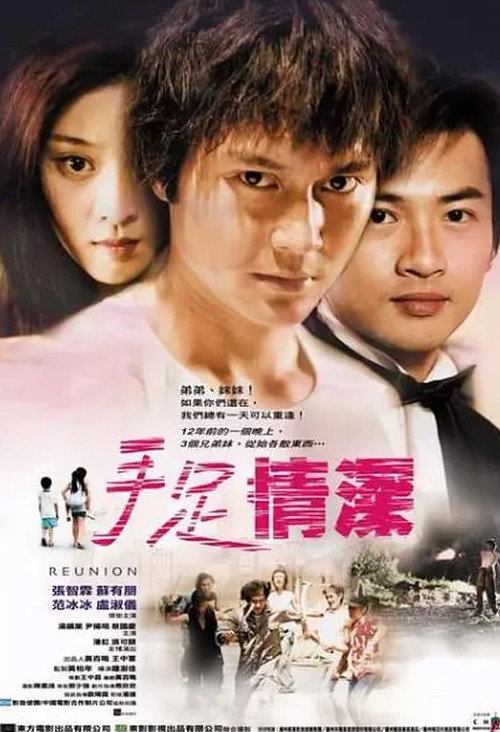 Movie poster for Reunion (2002)