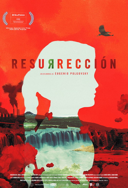 Movie poster for Resurrection (2016)