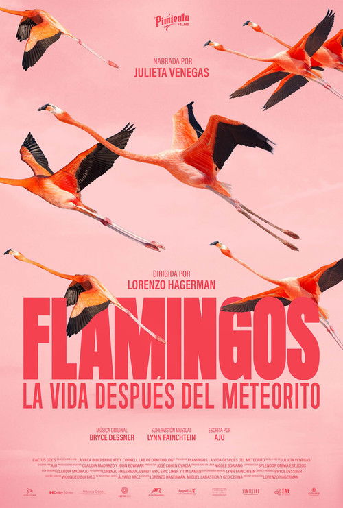 Movie poster for Flamingos: Life After the Meteorite (2026)