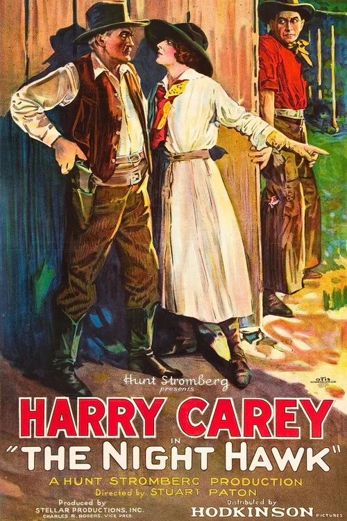 Movie poster for The Night Hawk (1924)