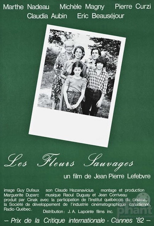 Movie poster for Wild Flowers (1982)