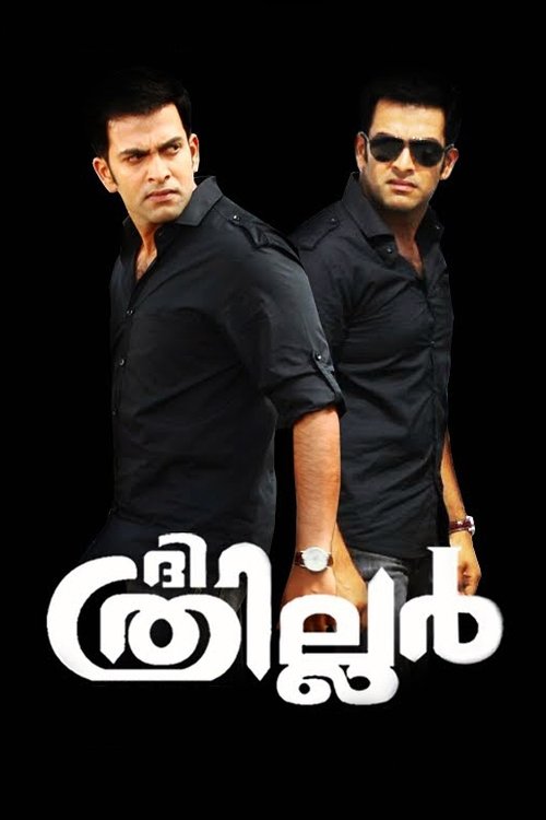Movie poster for The Thriller (2010)