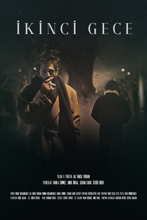 Movie poster for The Second Night (2021)
