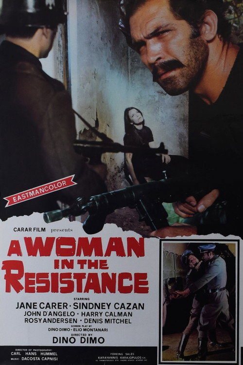 Movie poster for A Woman in the Resistance (1970)