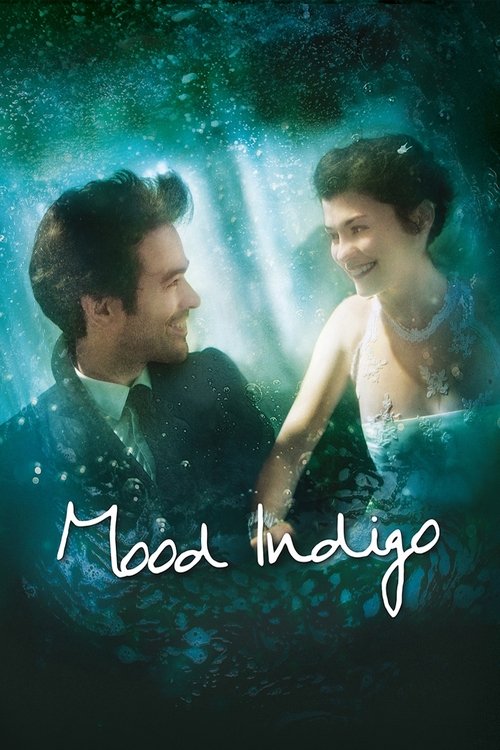 Movie poster for Mood Indigo (2013)