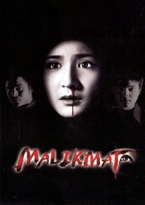Movie poster for Illusion (2003)