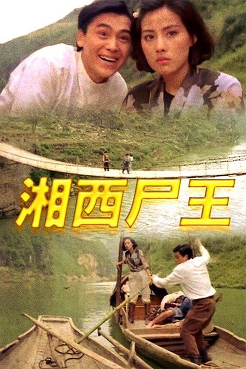 Movie poster for Kung Fu Vampire (1993)
