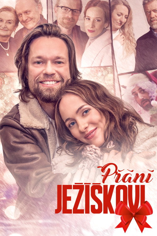 Movie poster for Přání Ježíškovi (2021)